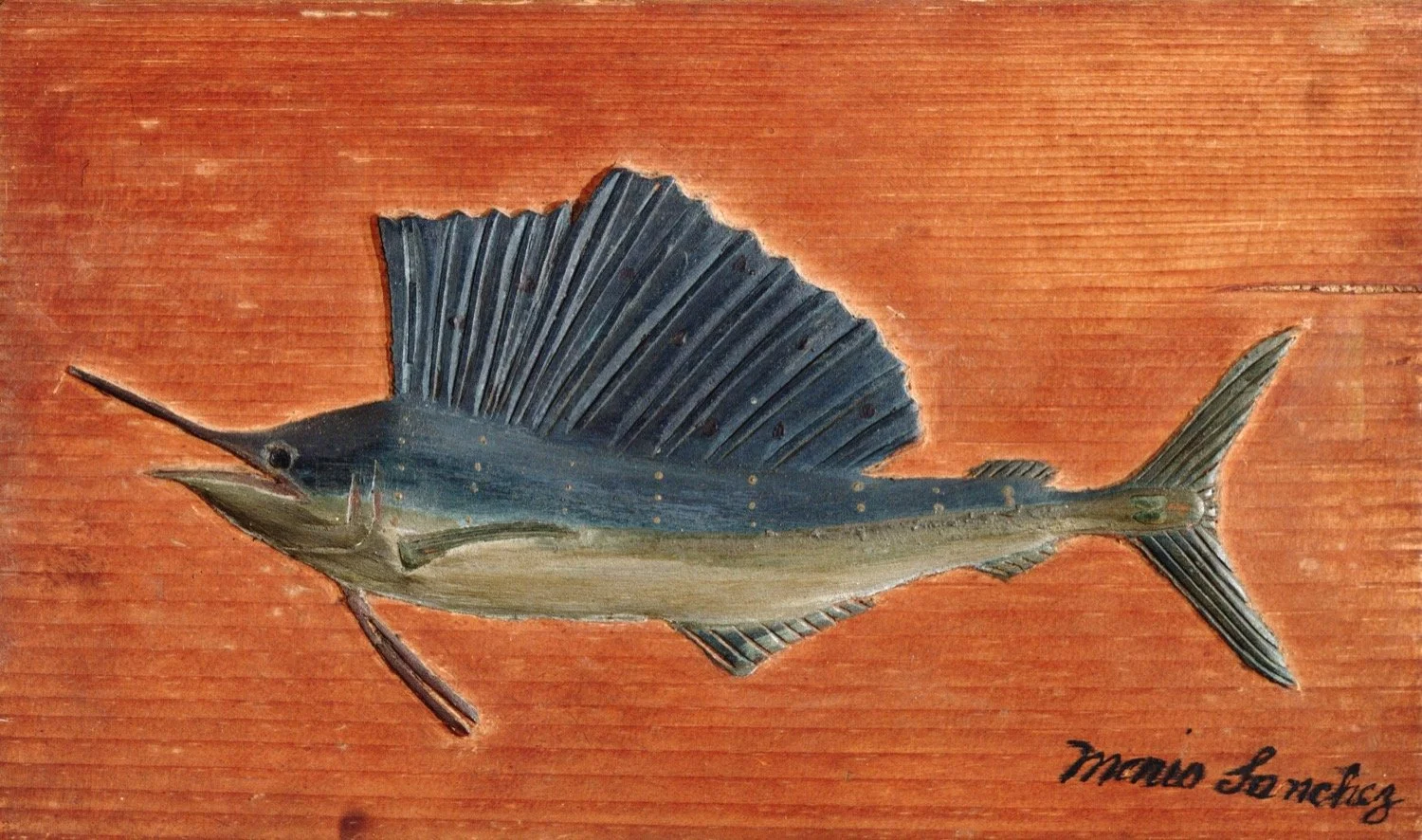 Sailfish