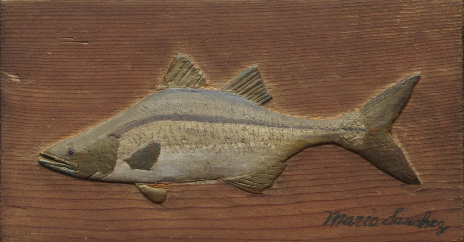 Snook