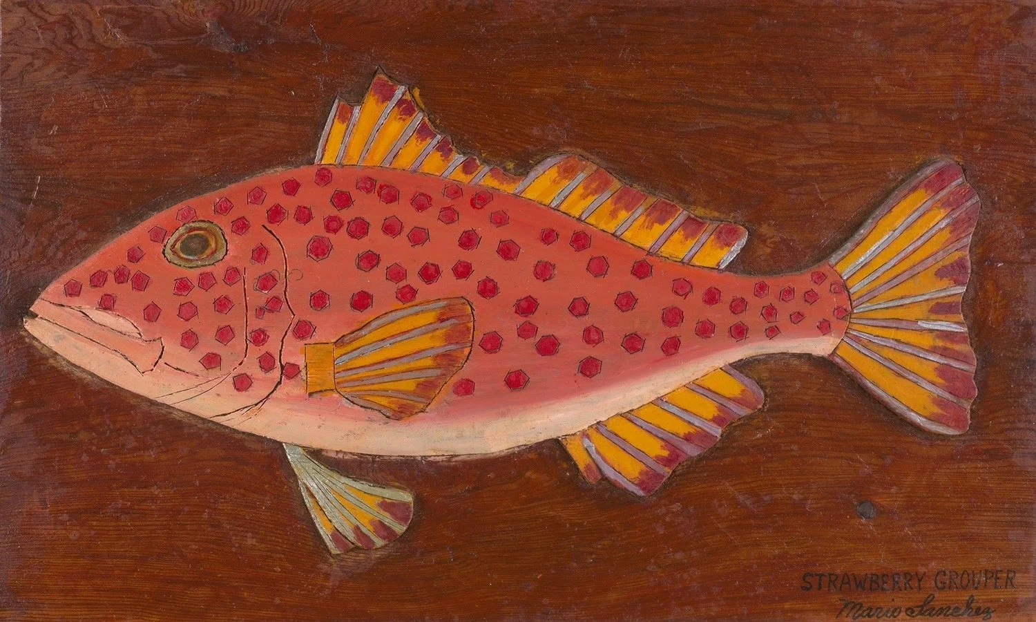 Strawberry Grouper