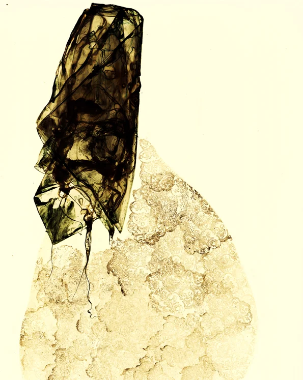 medicine man lores.jpg