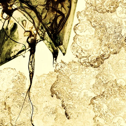 medicine man detail.jpg