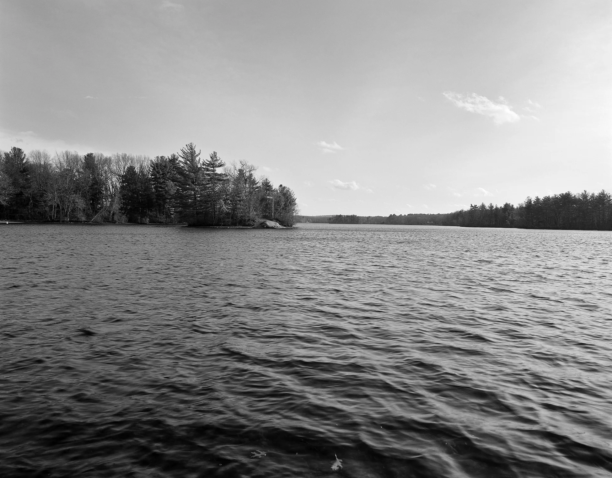 newpond_Print.jpg