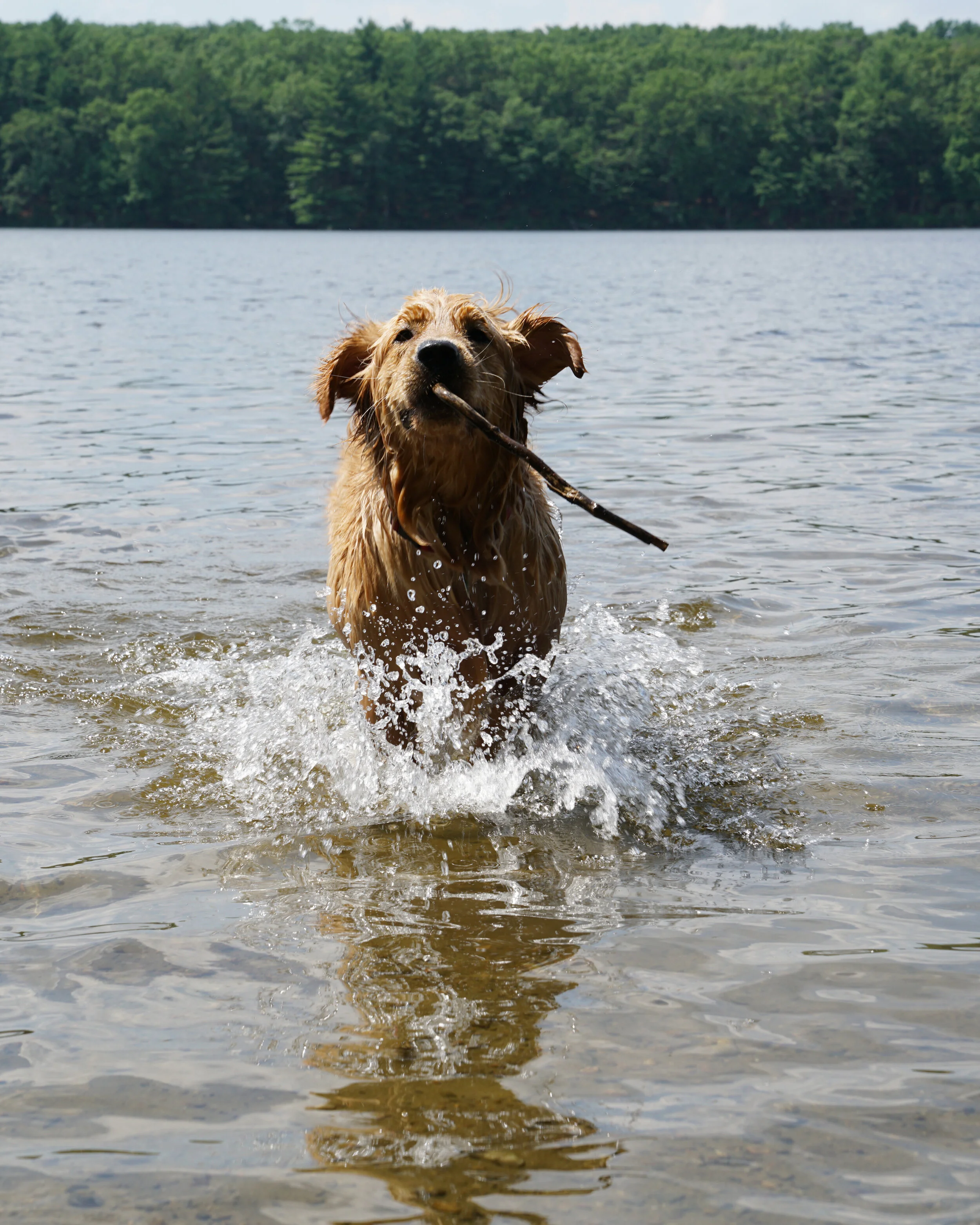 jax_stick_2.jpg