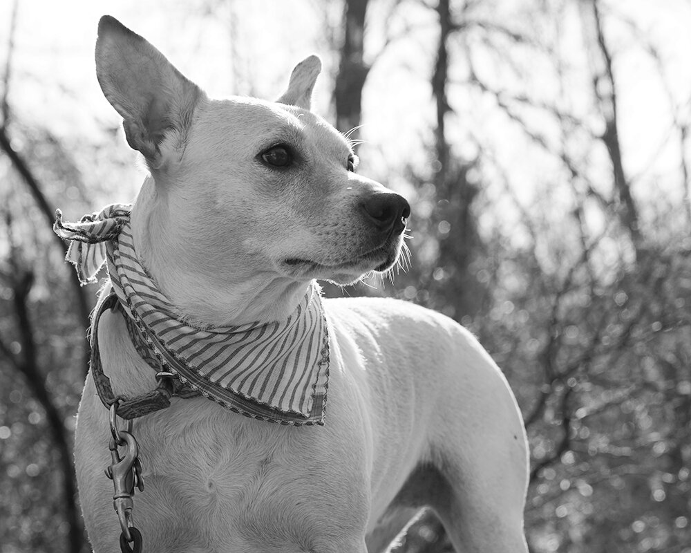 sally_B&W.jpg