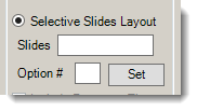 Selective-Slides-Layout.png