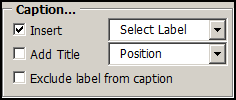 Caption-Insert.png