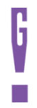 george! logo image