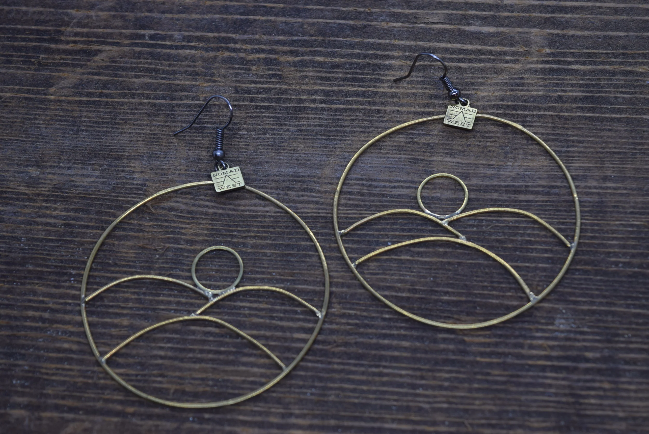 The Universe Earrings