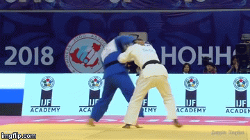 Tani-otoshi.gif