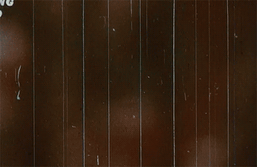 tumblr_mnwdiydSv51rpduwho1_500.gif