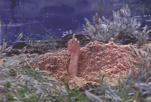 tumblr_psxqd0sMuy1qg39ewo1_500.gif