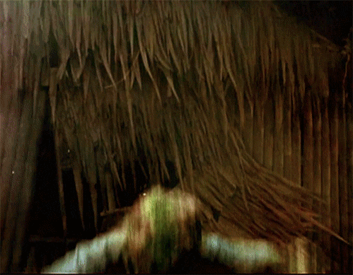 tumblr_pvm4r9q6xe1qg39ewo1_500.gif