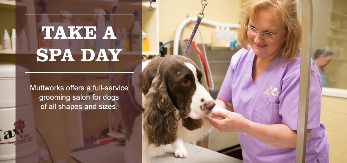 website_BannerImg_01_Petcare_C.jpg