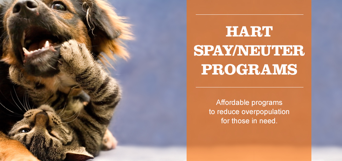 website_BannerImg_01_Petcare_D.jpg