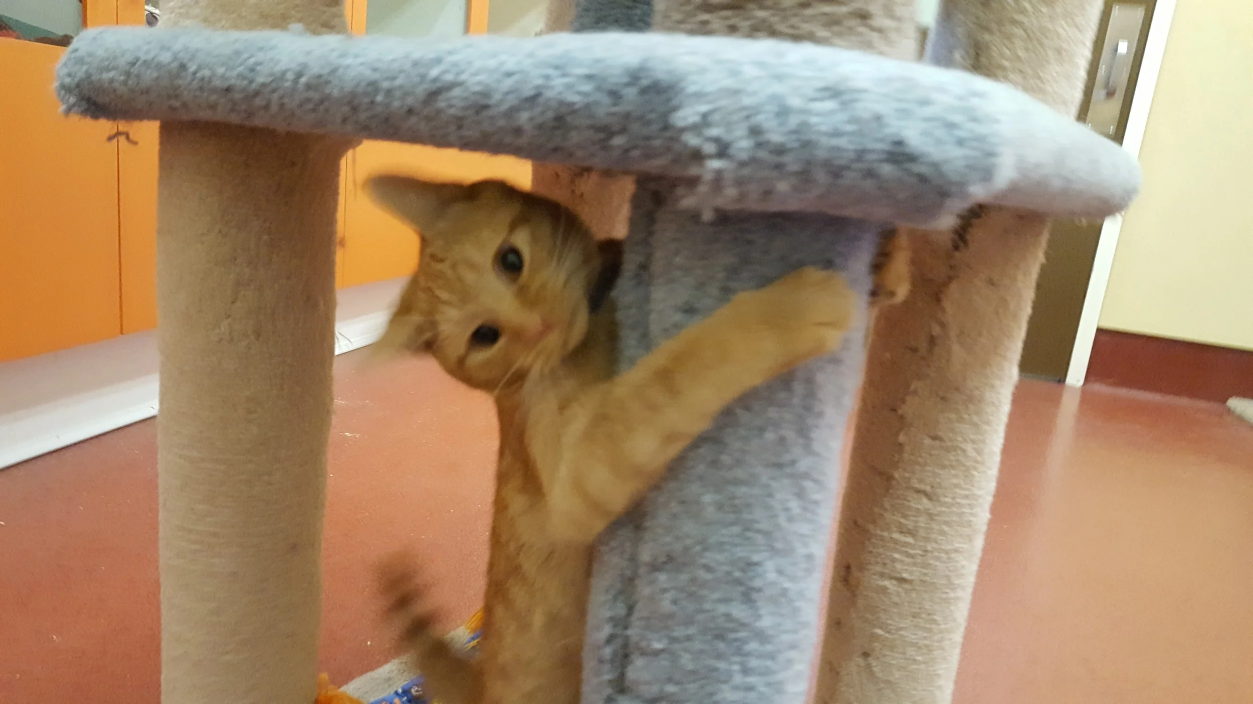 20160609_083926.jpg