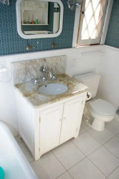 Bryant_renovations_bathroom_renovation_transitional_bathroom_style.jpeg