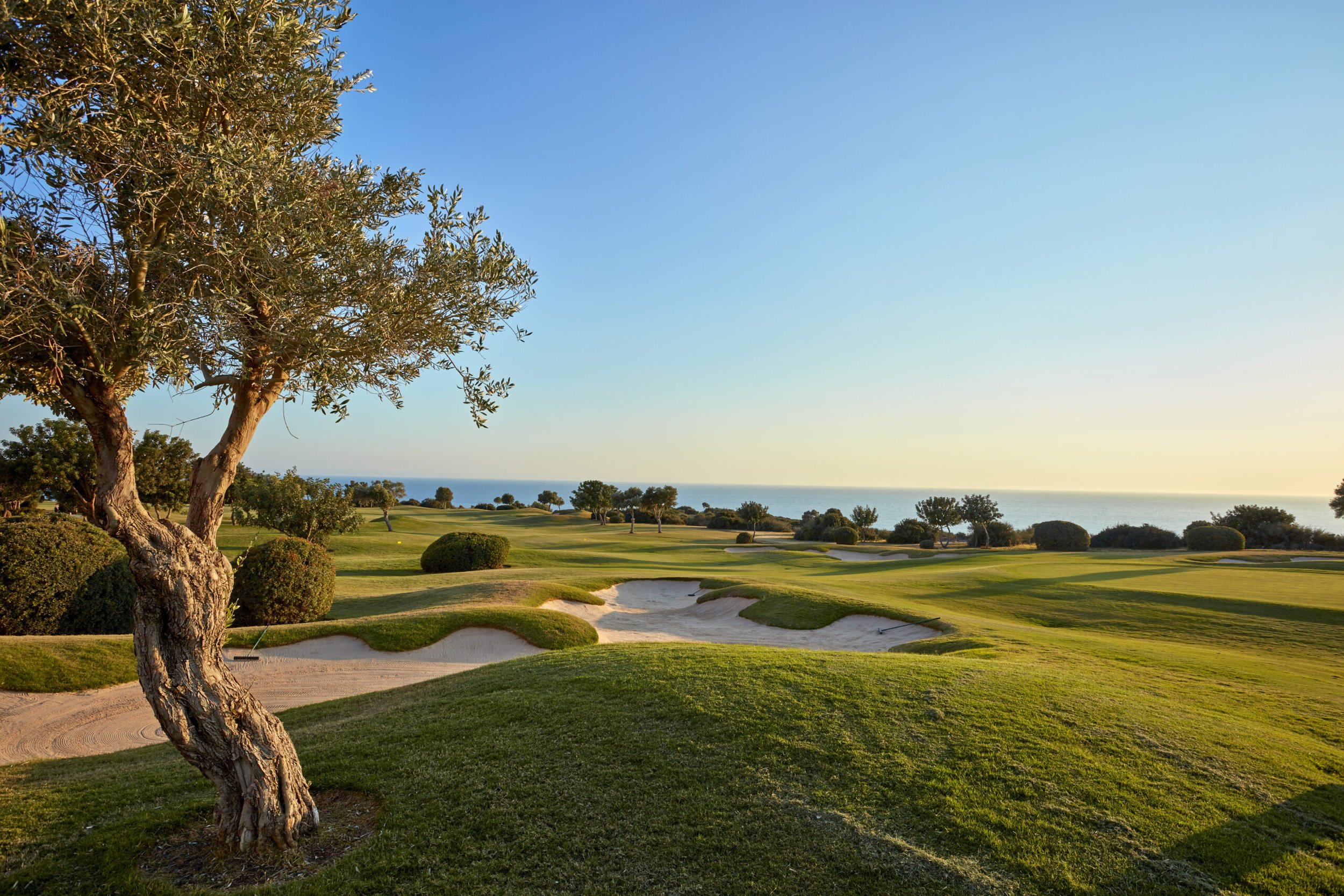 Stage-Golf-Chypre-Aphrodite-Hills-Golf-PGA-National-Jean-Miquel-professeur-de-golf.jpg