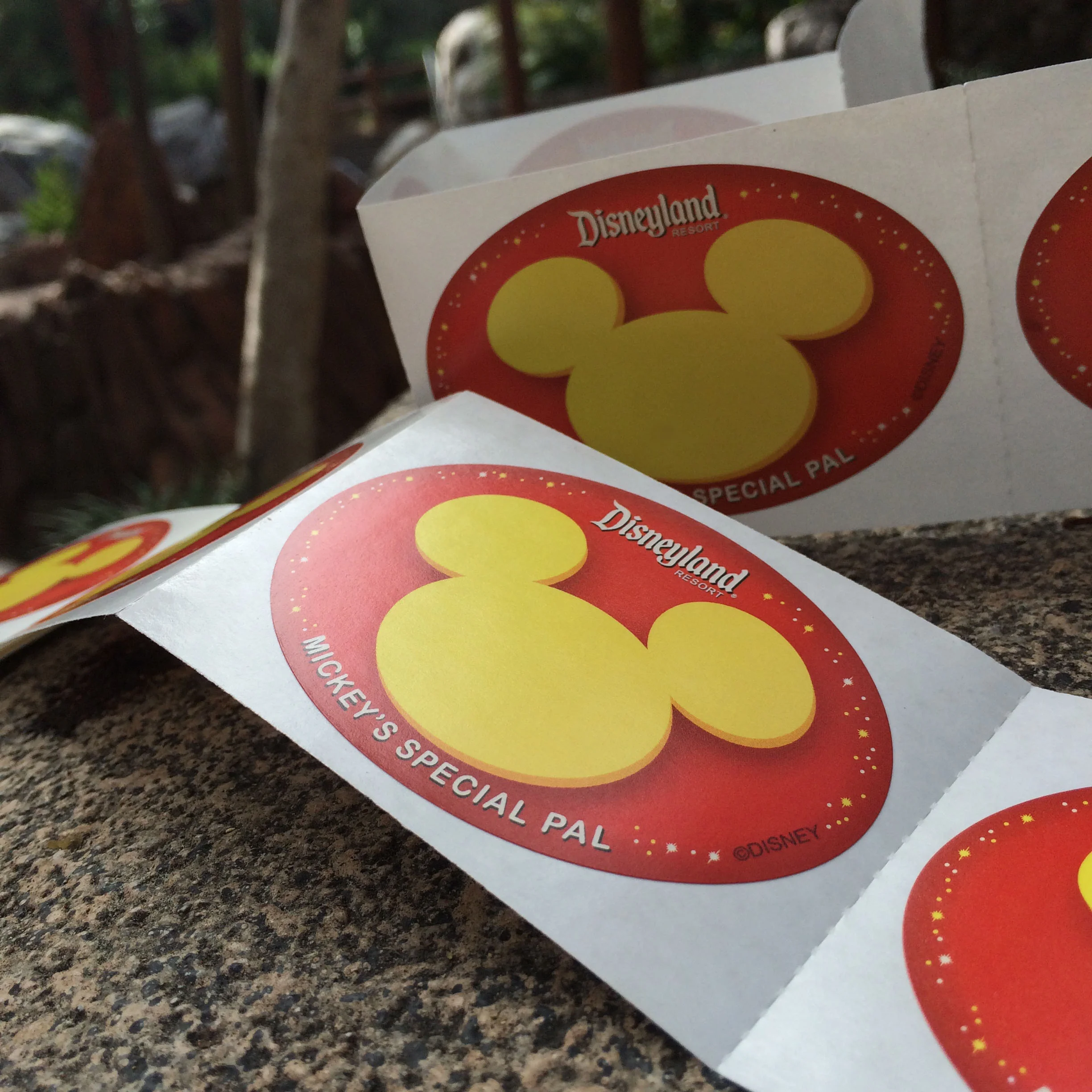 mickey_sticker_live.jpg