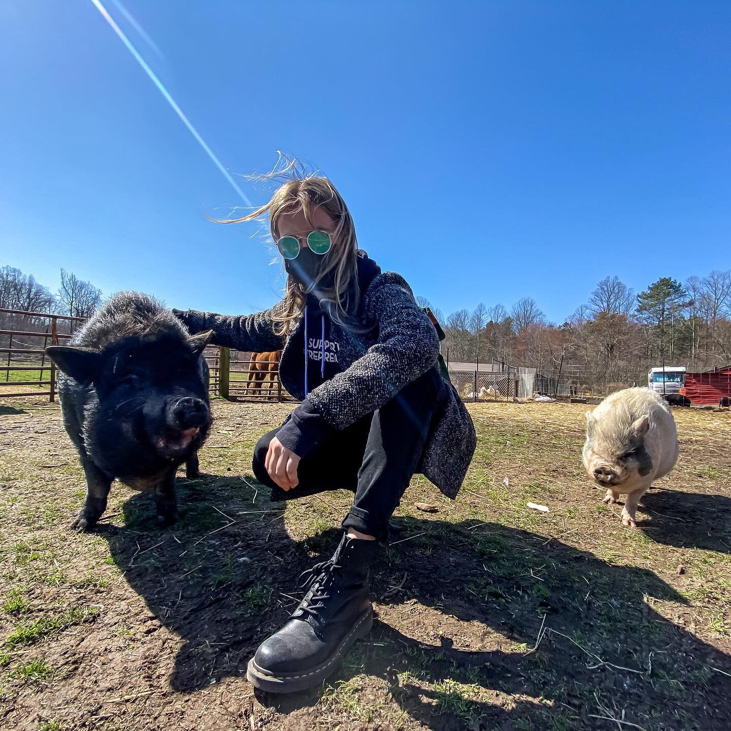 Do yourself a favor and visit this precious rescue farm, Build an Ark Animal Rescue. #yoga #animalsofinstagram #rescuefarm