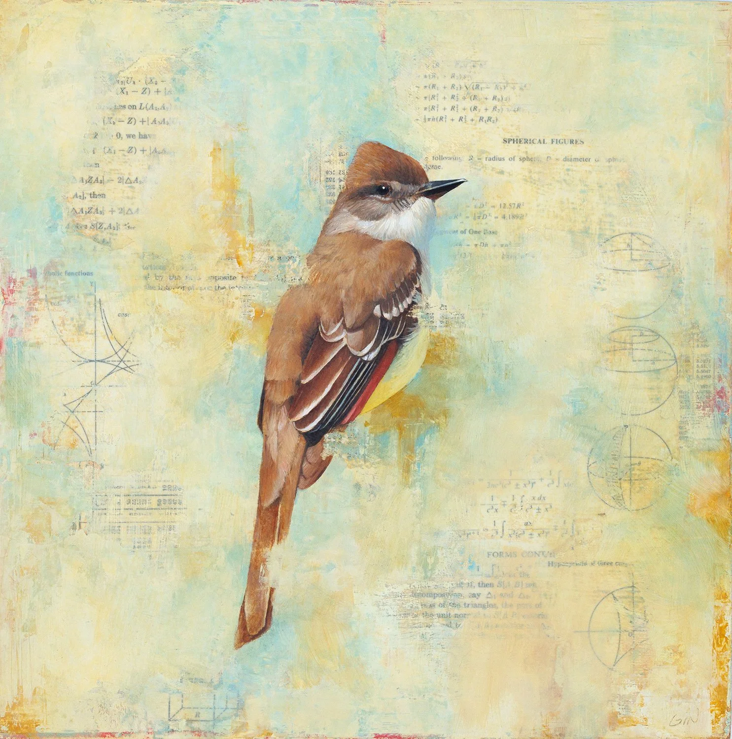  Spherical Figures (Ash-throated Flycatcher)  2025 oil and collage on panel 12 × 12 inches  Sold 