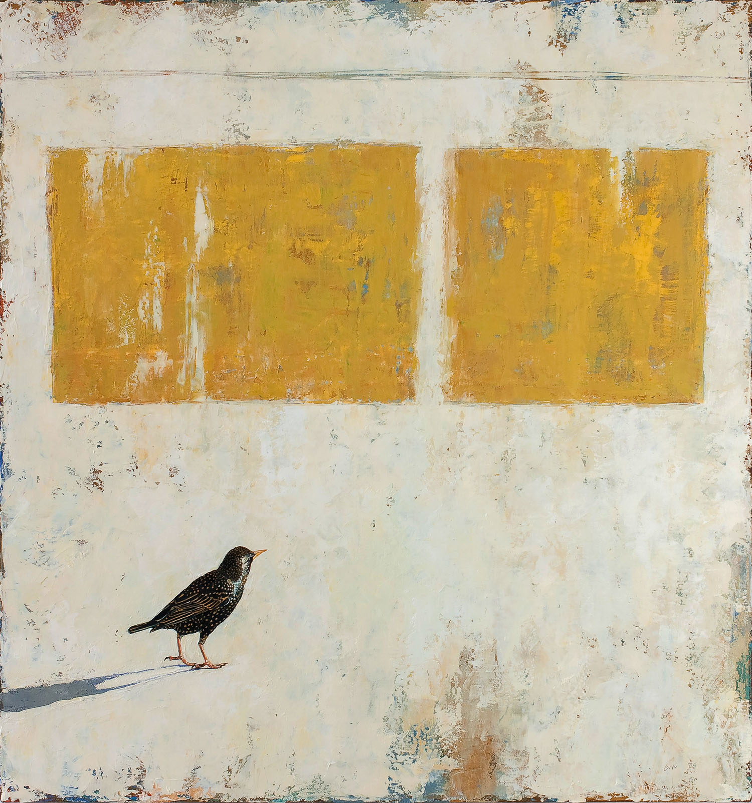   European Starling  2009 oil on canvas 36 x 34 inches  Private collection 