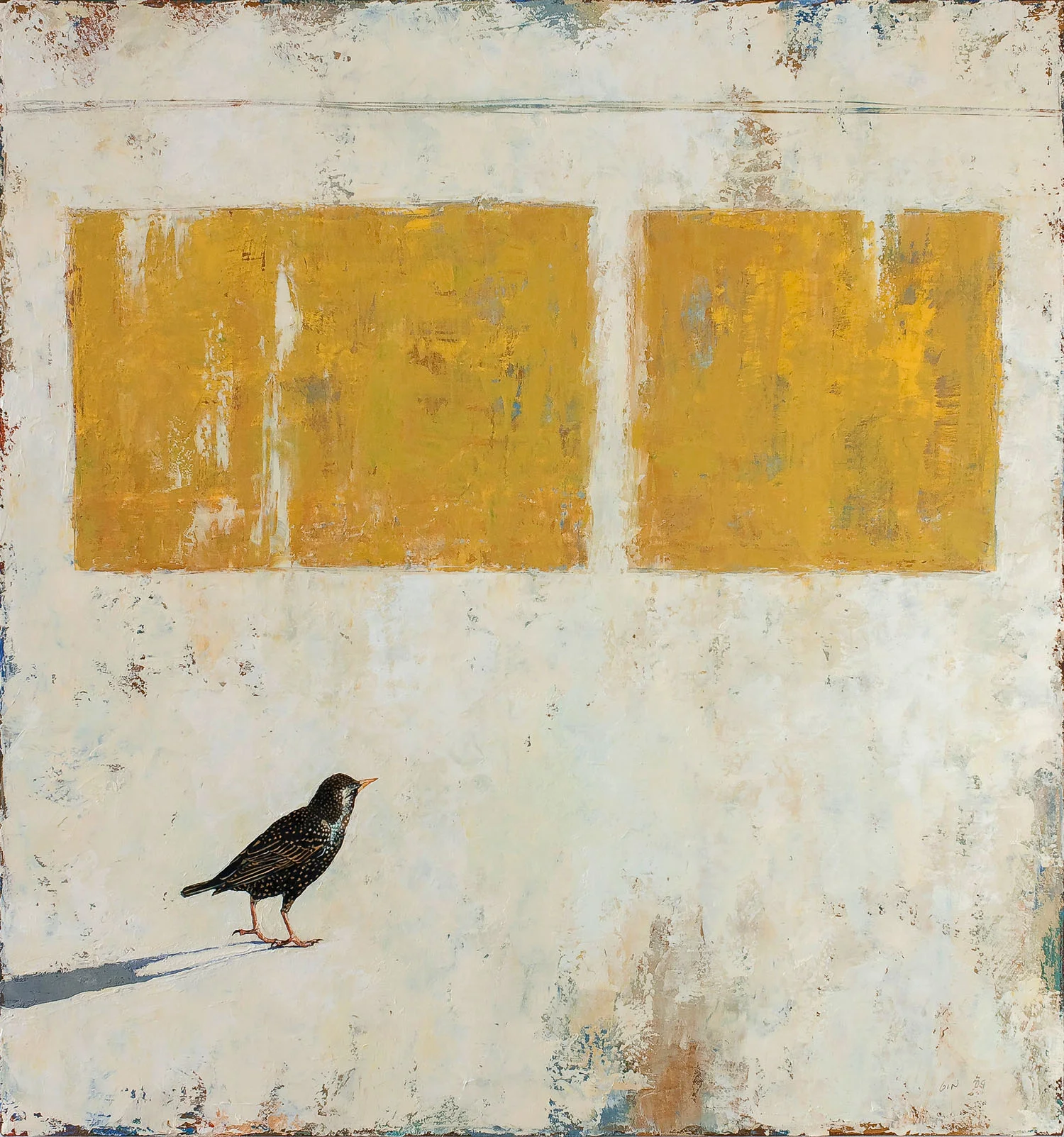 European Starling 2009 oil on canvas 36 x 34 inches Private collection