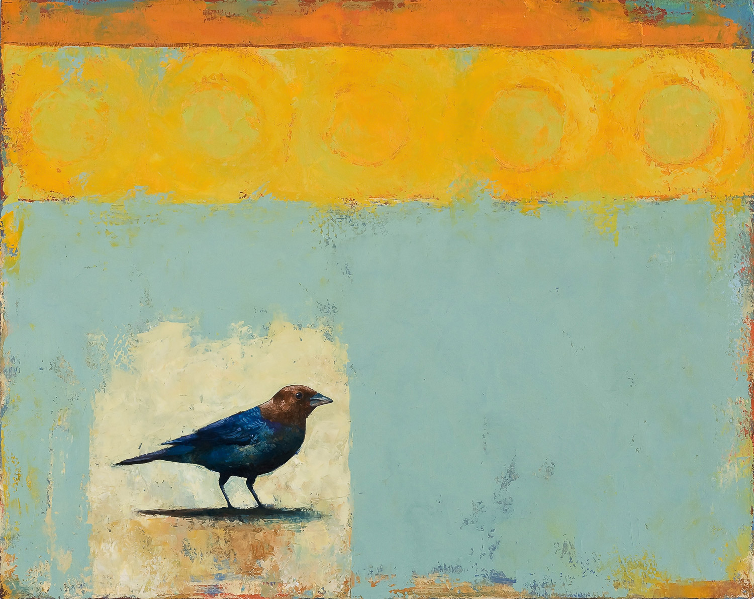 Brown Headed Cowbird 2008 oil on canvas 24 x 30 inches Private collection