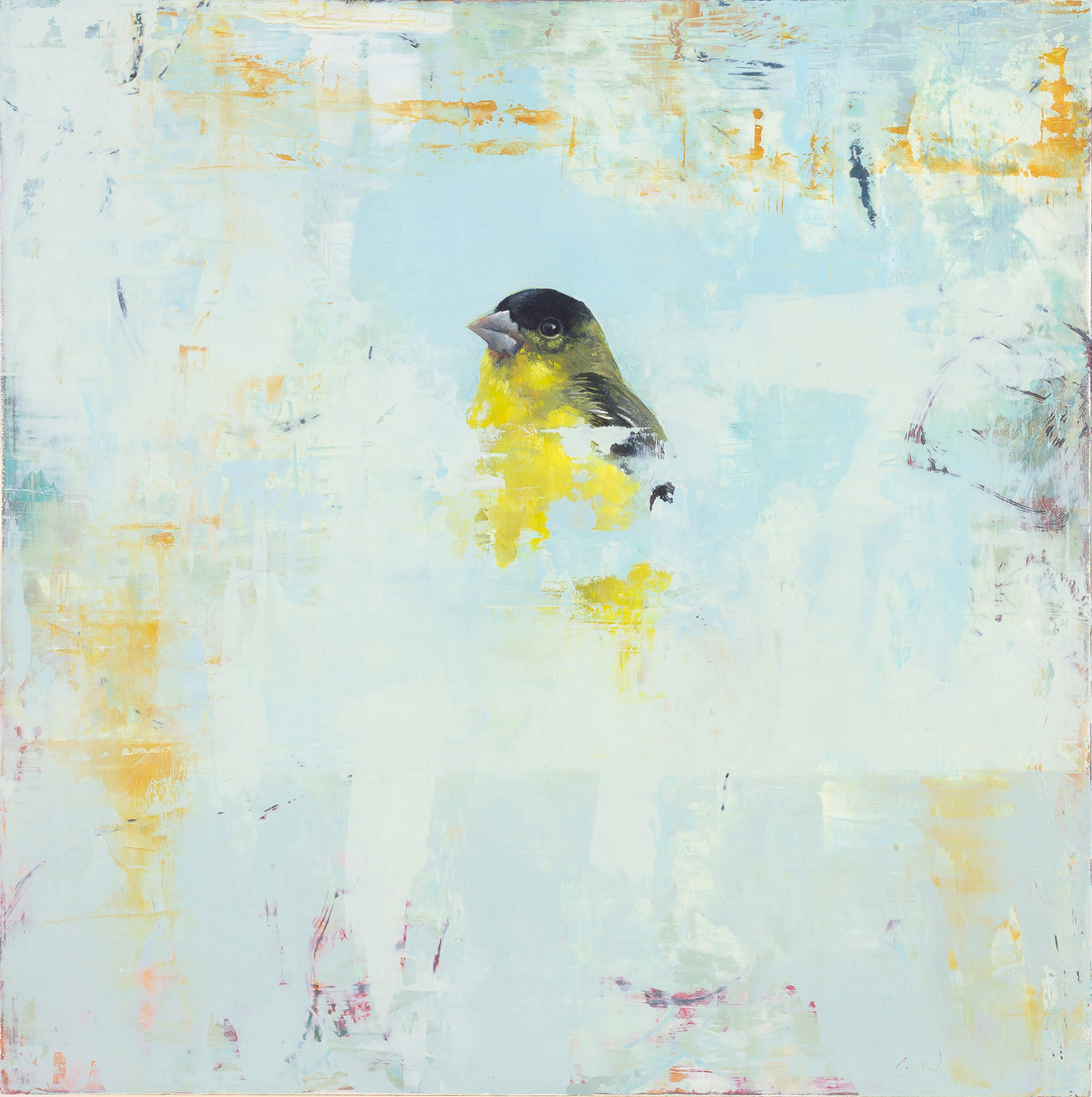   Lesser Goldfinch  2018 oil on panel 10 x 10 inches   Sold 