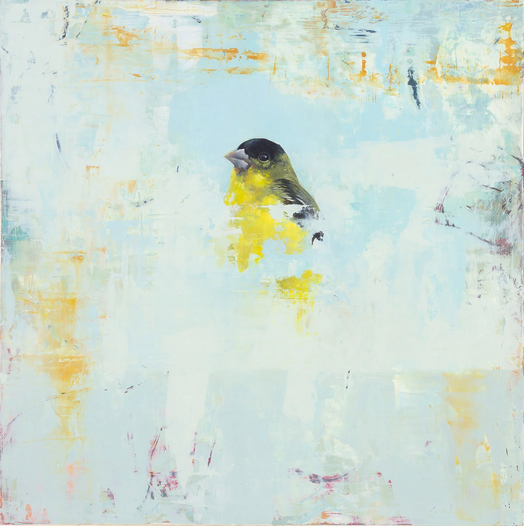 Lesser Goldfinch 2018 oil on panel 10 x 10 inches Sold