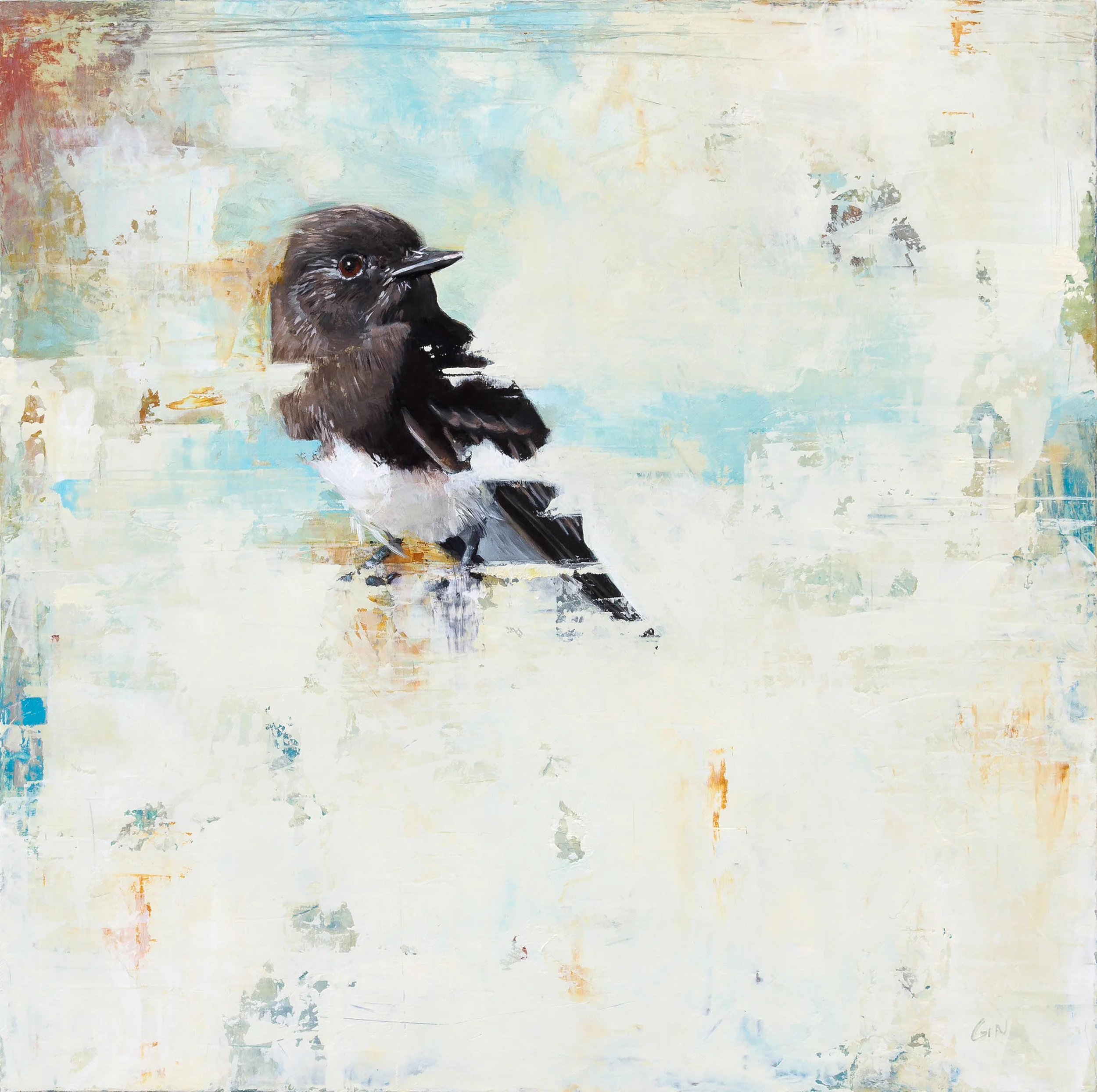 Black Phoebe 2018 oil on panel 10 x 10 inches Sold