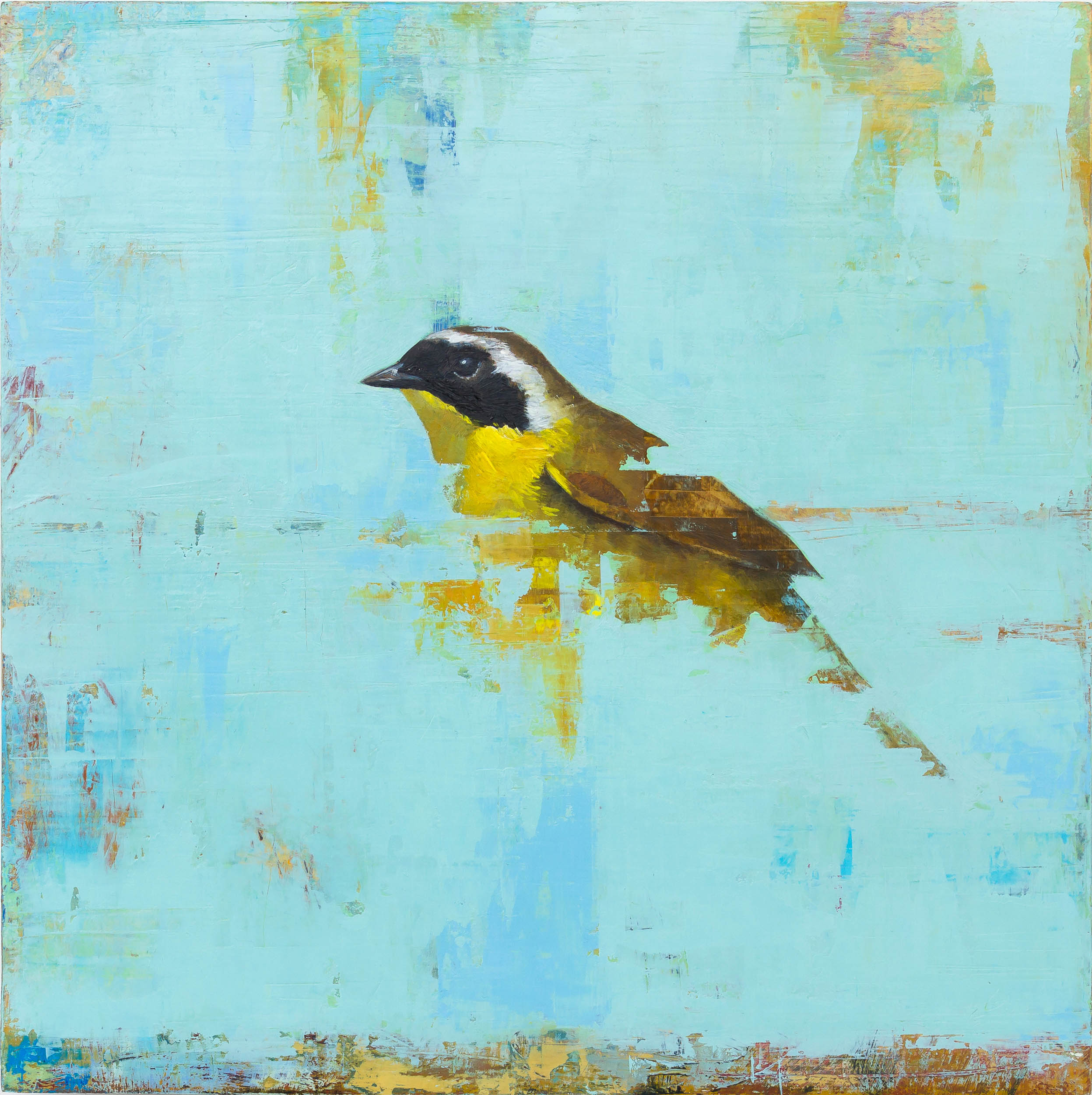   Common Yellowthroat  2018 oil on panel 10 x 10 inches   Sold 