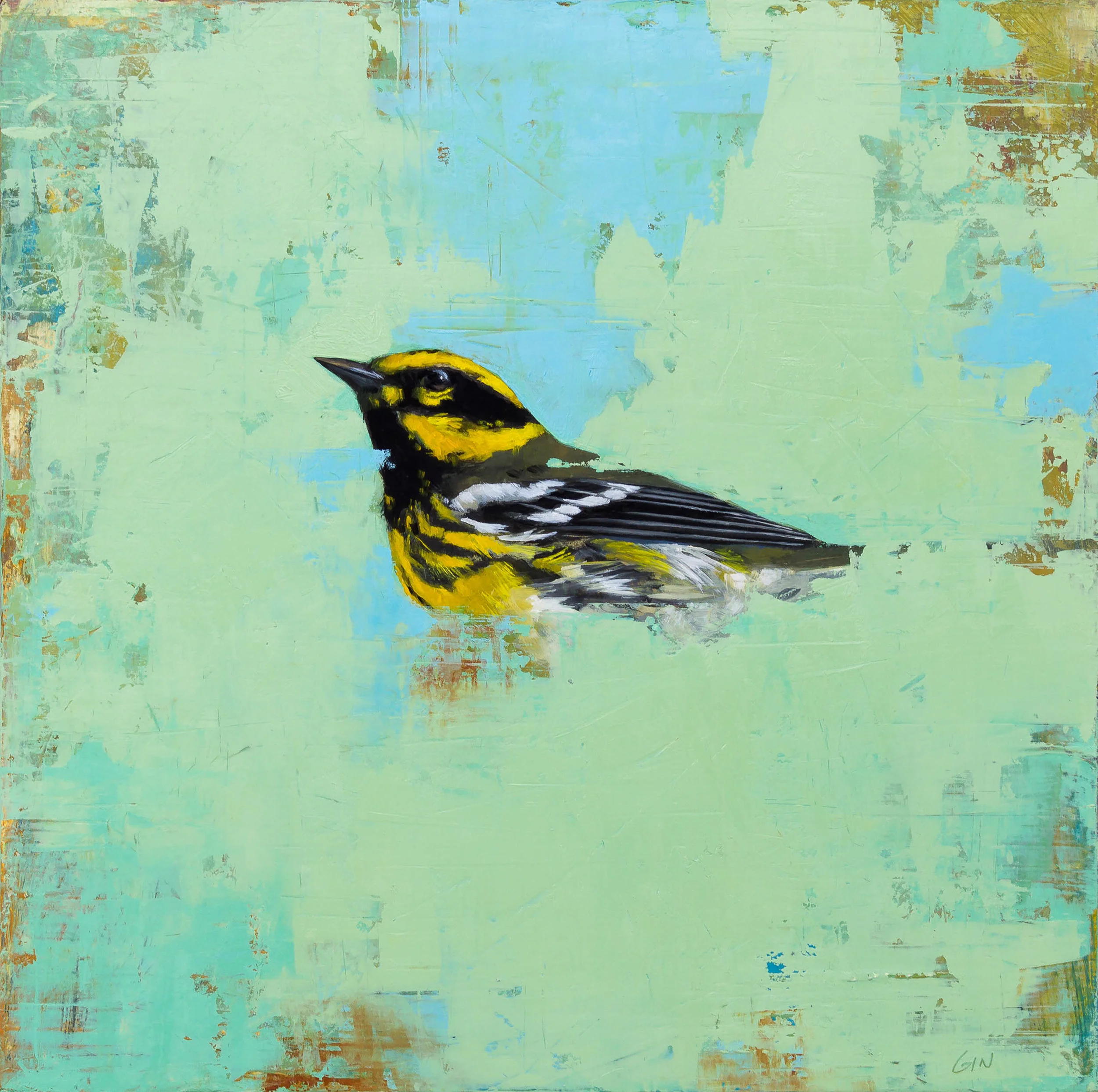 Townsend’s Warbler 2018 oil on panel 10 x 10 inches Sold
