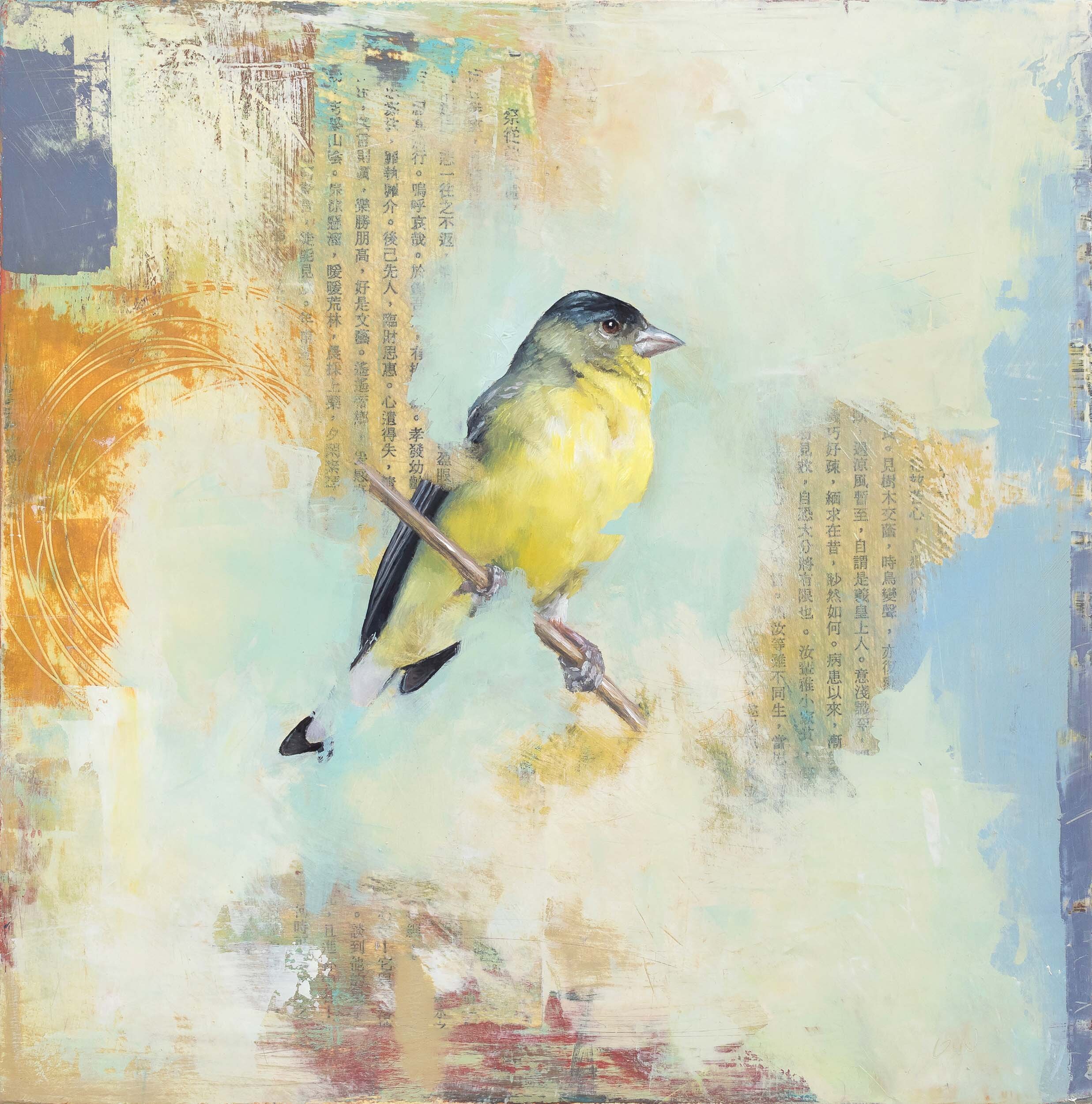   Goldfinch  2019 oil and collage on panel 10 x 10 inches  Private Collection 