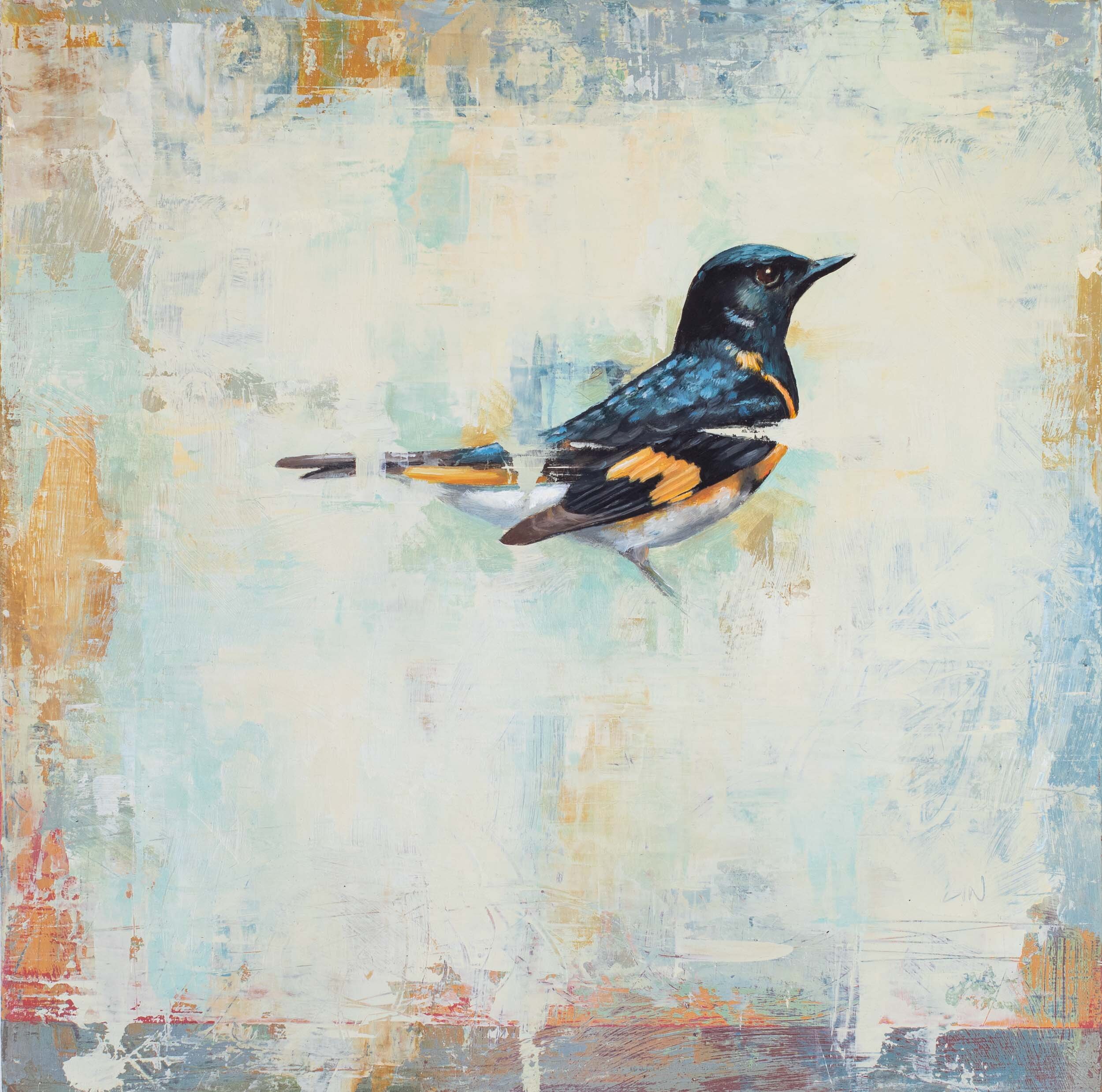   American Redstart  2020 oil on panel 10 x 10 inches  Private Collection 