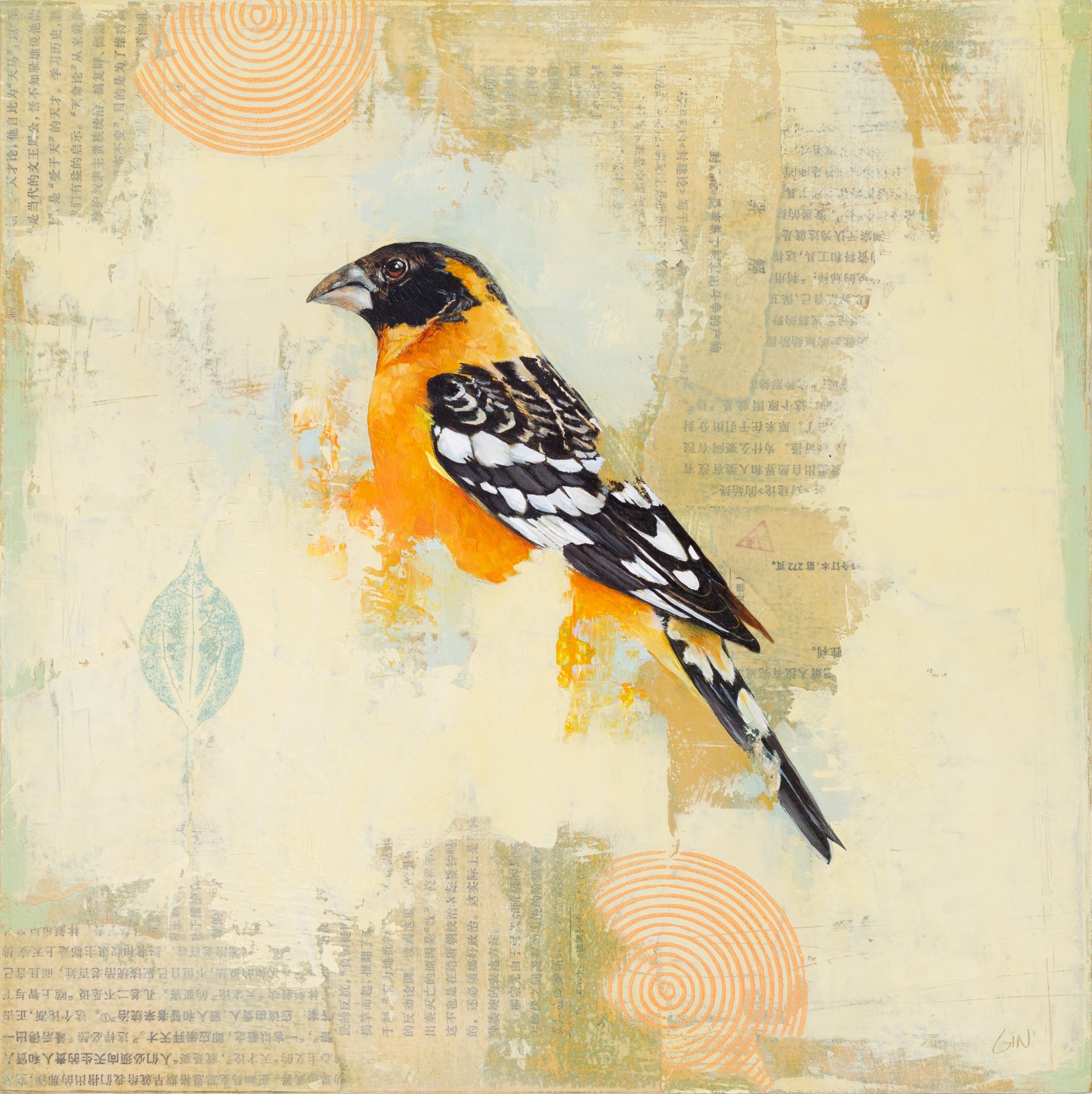   Black-headed Grosbeak  2024 oil and collage on panel 12 x 12 inches  available at The Haen Gallery 