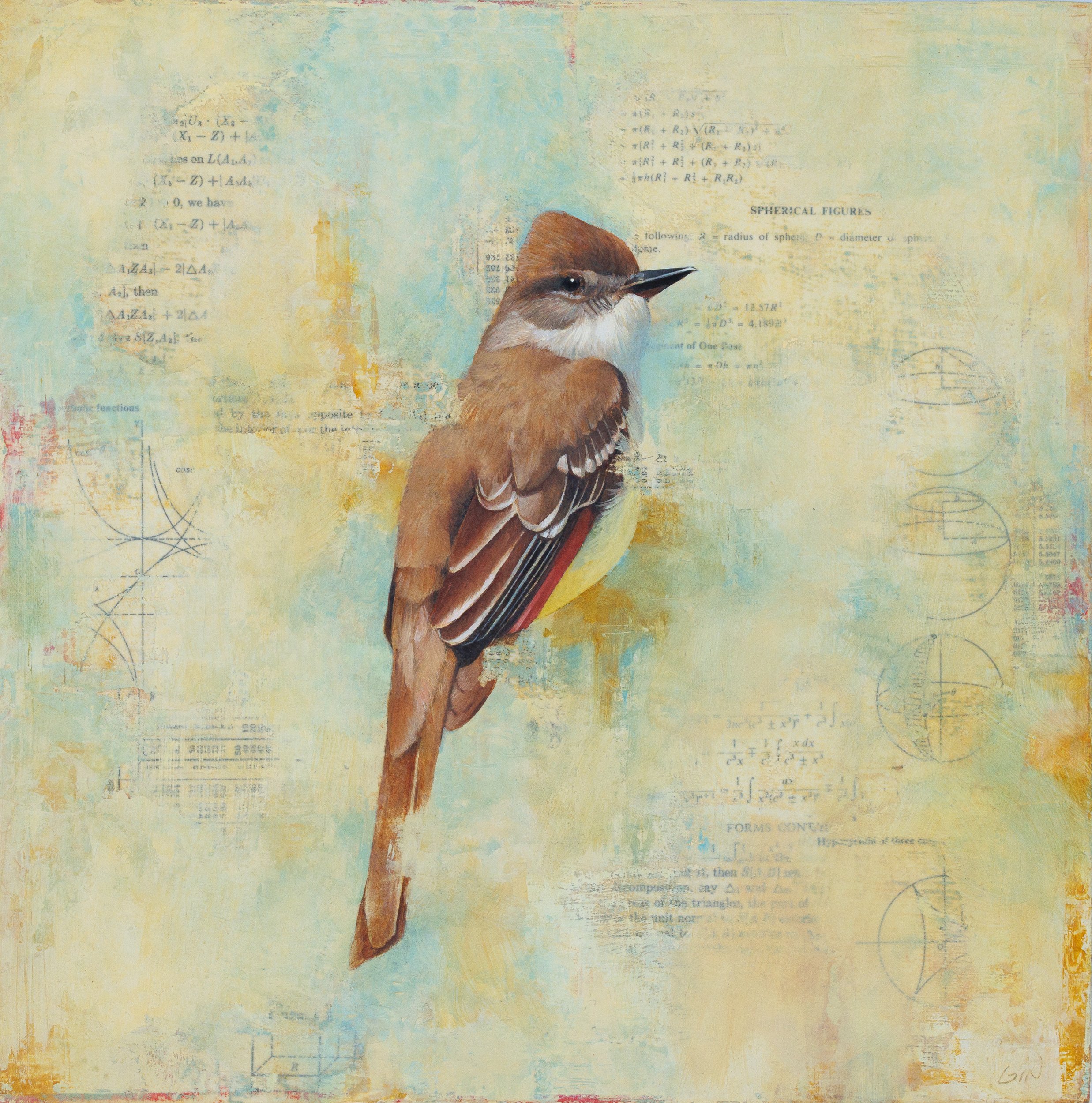 Spherical Figures (Ash-throated Flycatcher) 2025 oil and collage on panel 12 × 12 inches Sold