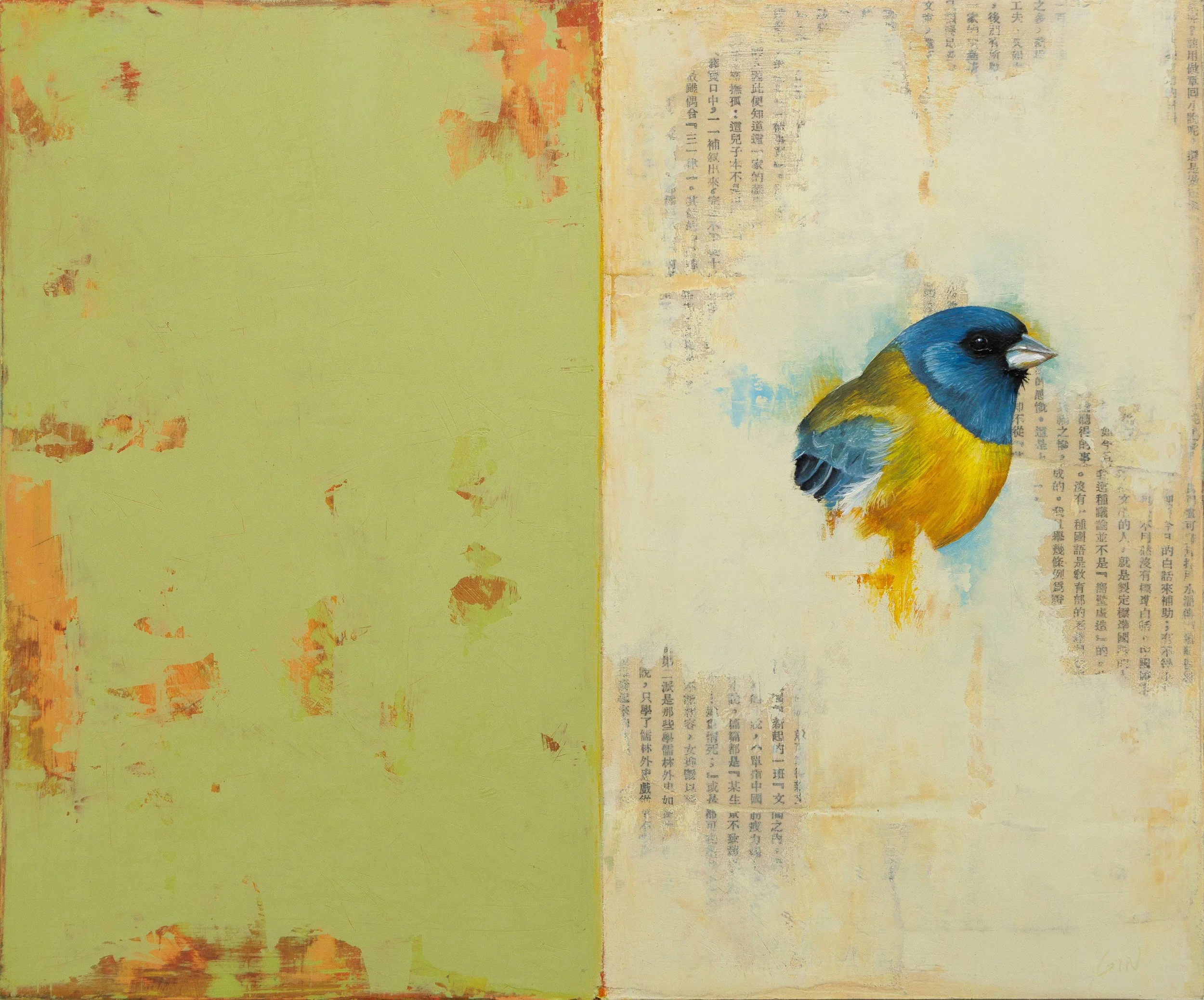   Gray-hooded Sierra Finch  2025 oil and collage on panel 10 x 12 inches  available at  The Haen Gallery  
