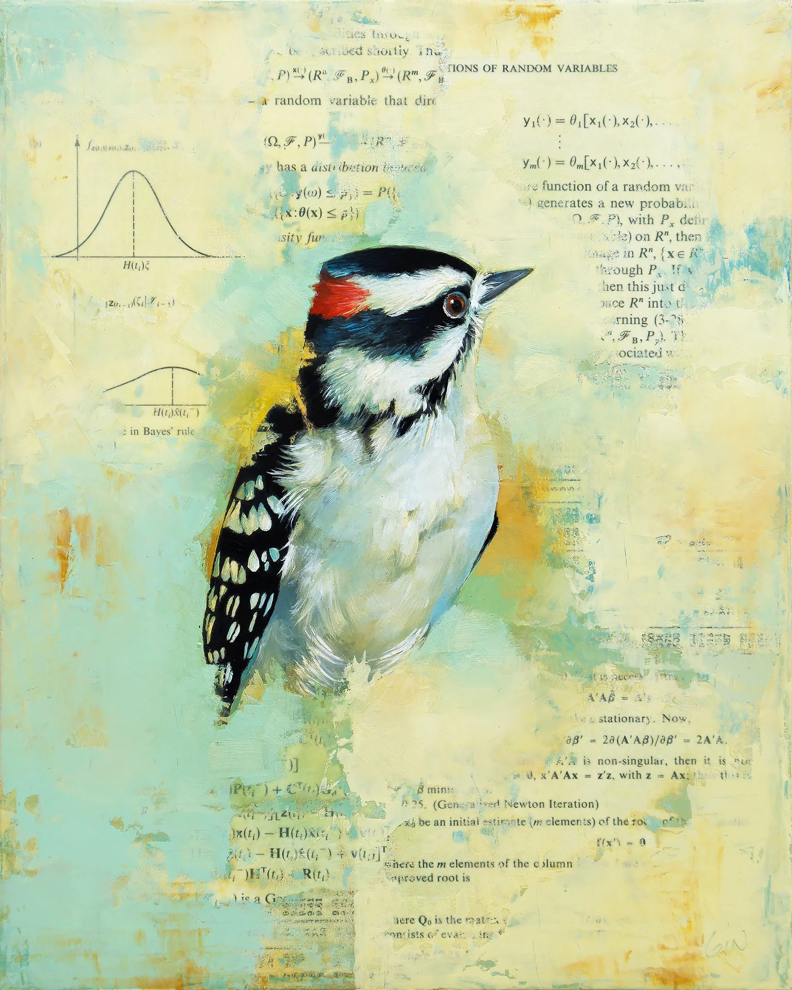   Random Variables (Downy Woodpecker)  2026 oil and collage on panel 10 × 8 inches   Sold 