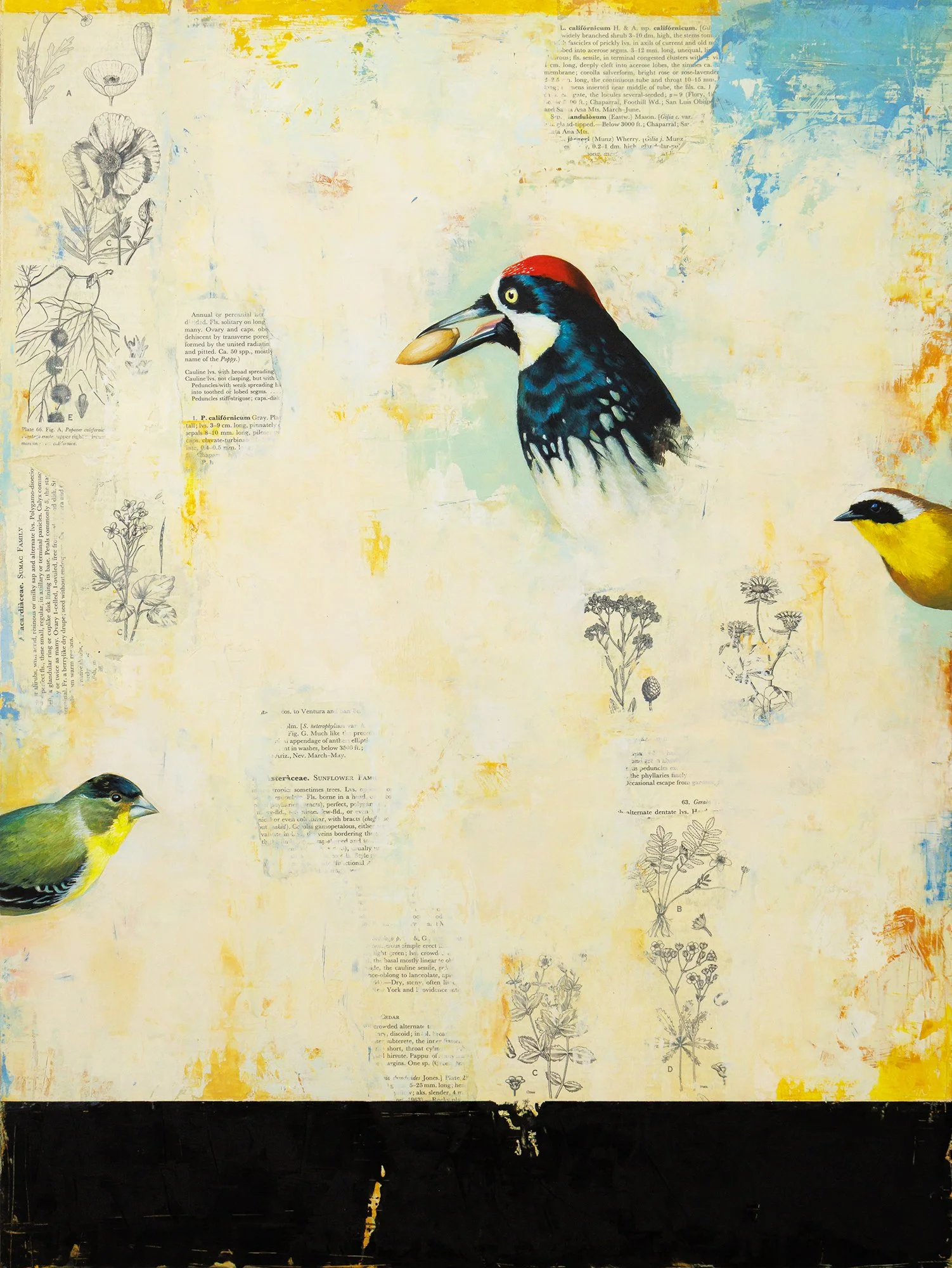   Southern California  2026 oil and collage on panel 24 × 18 inches  available at  The Haen Gallery  