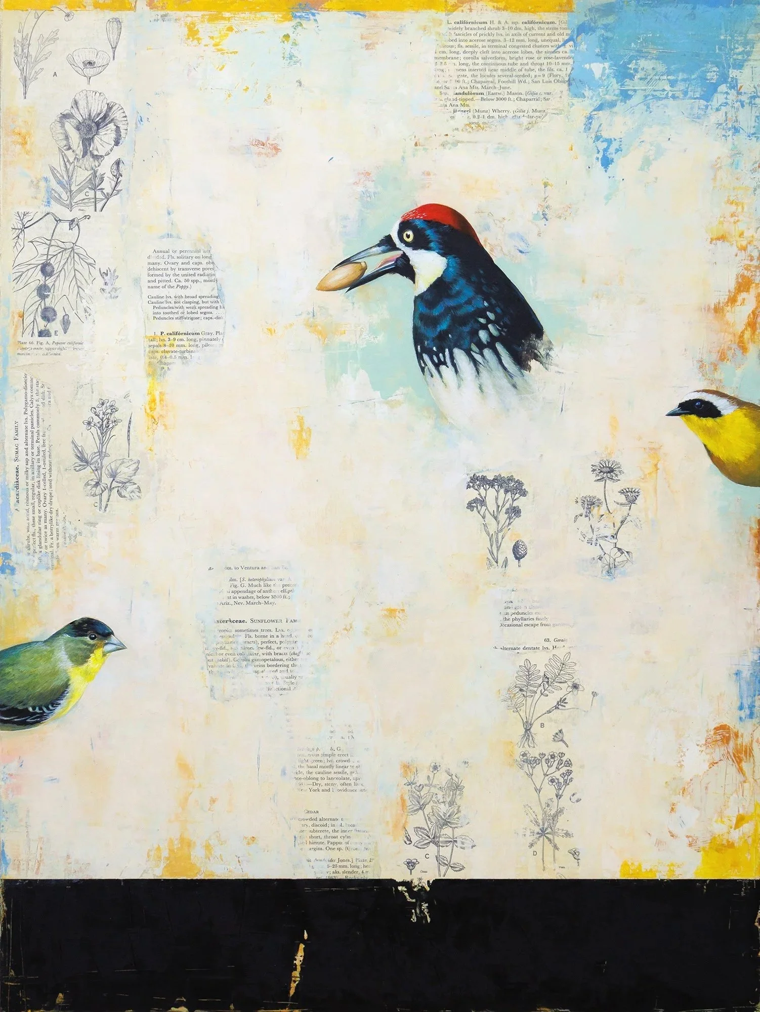   Southern California  2026 oil and collage on panel 24 × 18 inches  available at  The Haen Gallery  