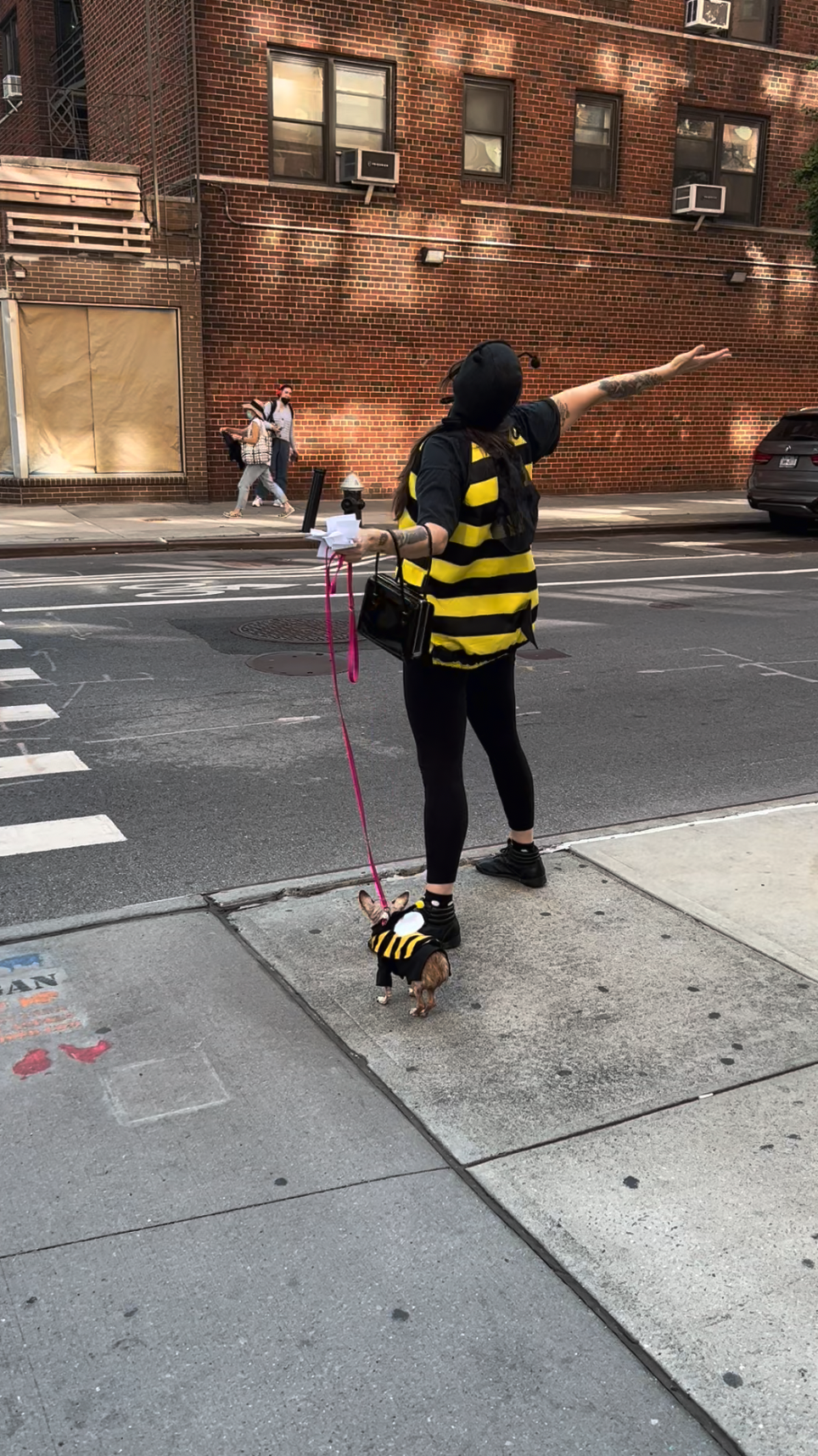 Interspecies Interconnectedness: Cross Pollination of E. 9th Street, New York City