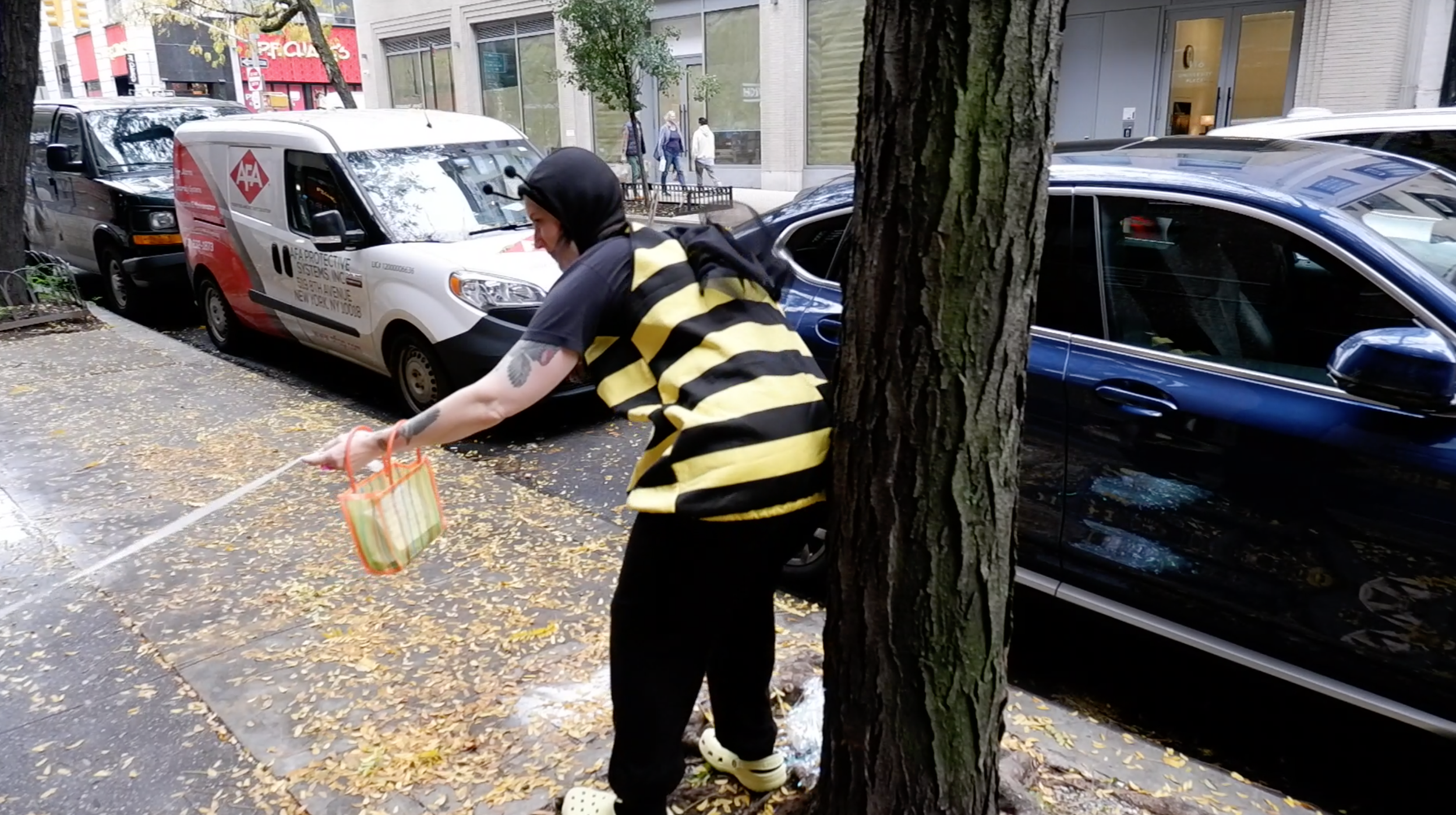 Interspecies Interconnectedness: Cross Pollination of E. 13th Street 