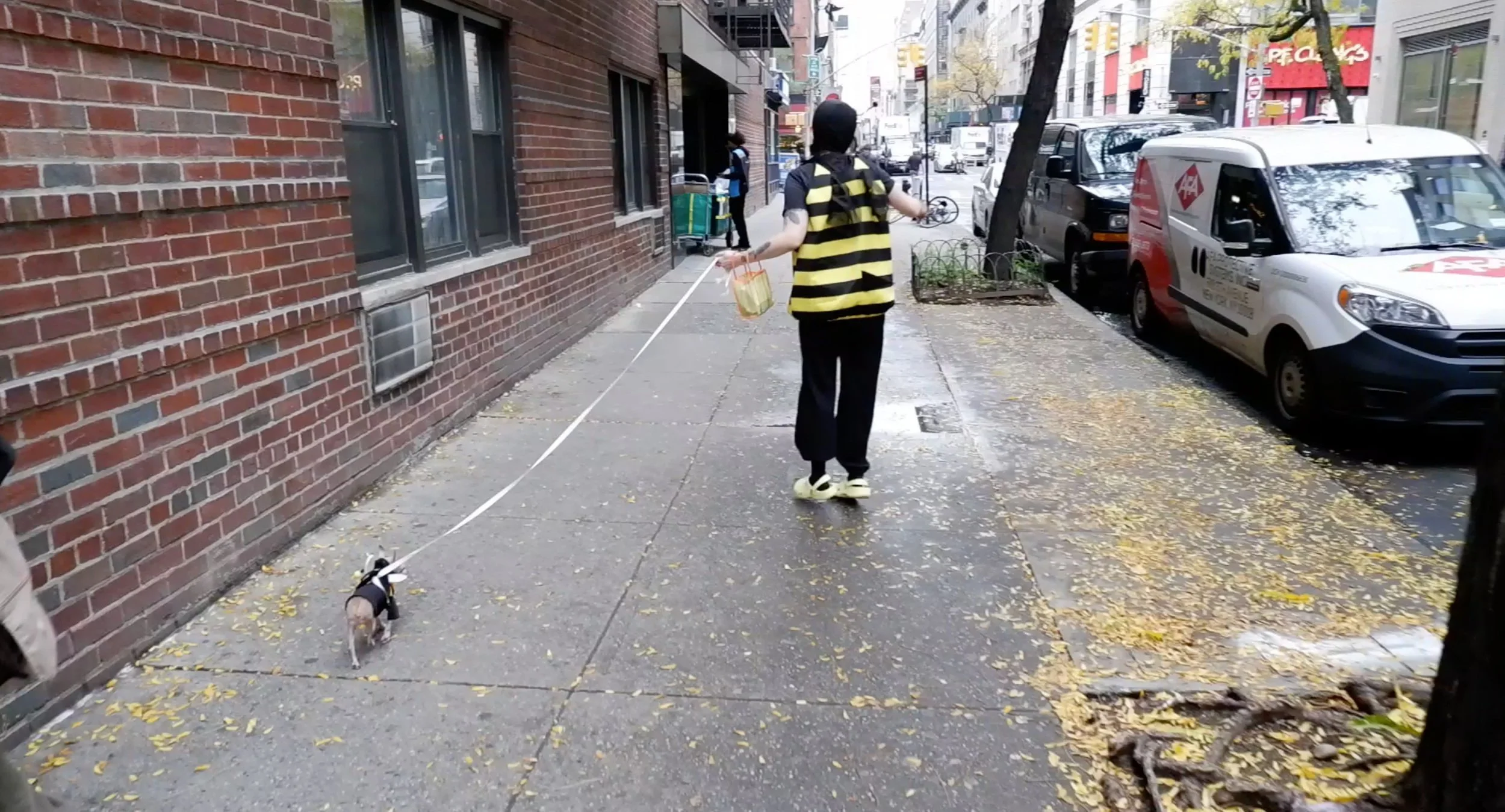 Interspecies Interconnectedness: Cross Pollination of E. 13th Street 