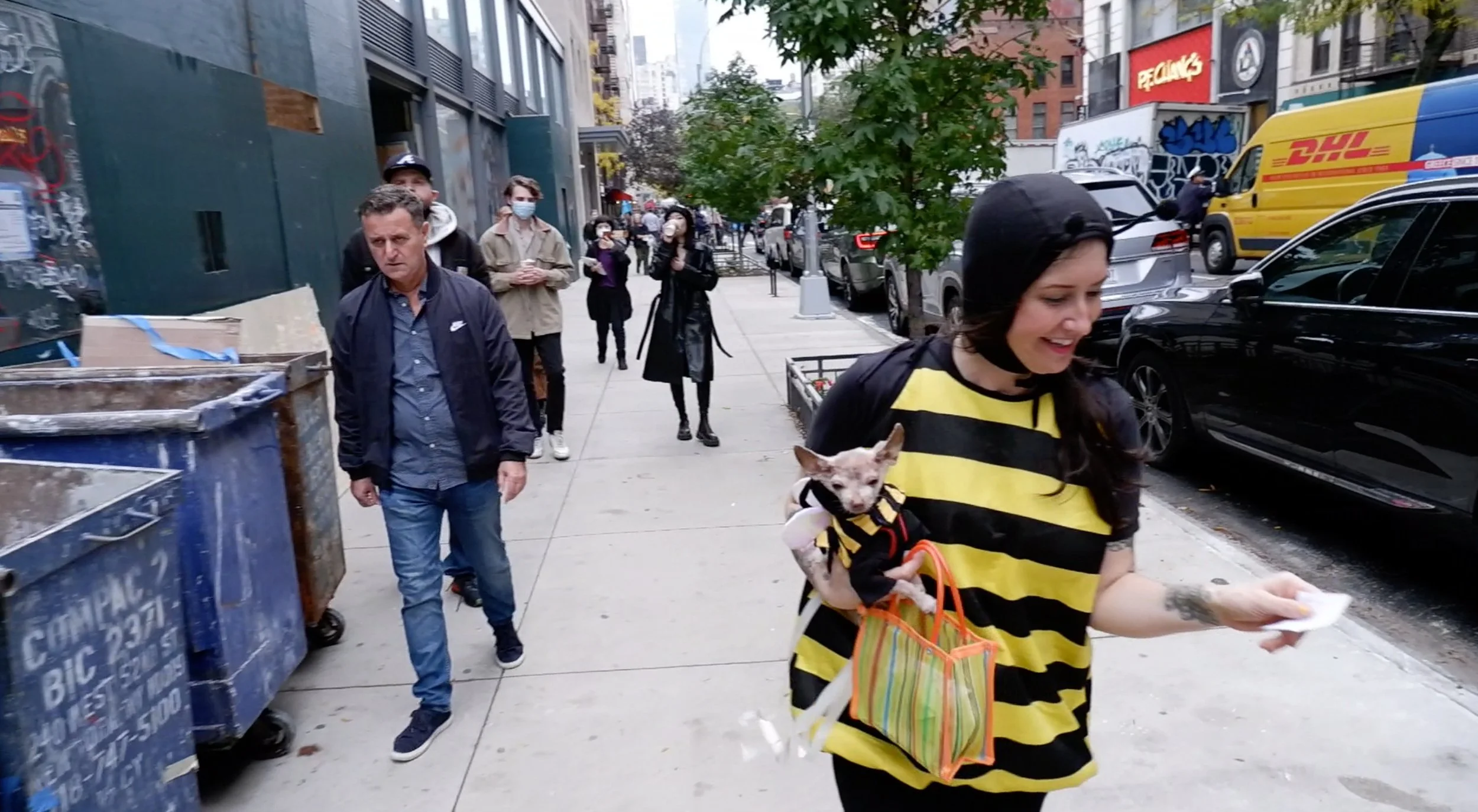 Interspecies Interconnectedness: Cross Pollination of University Pl., New York City. Street