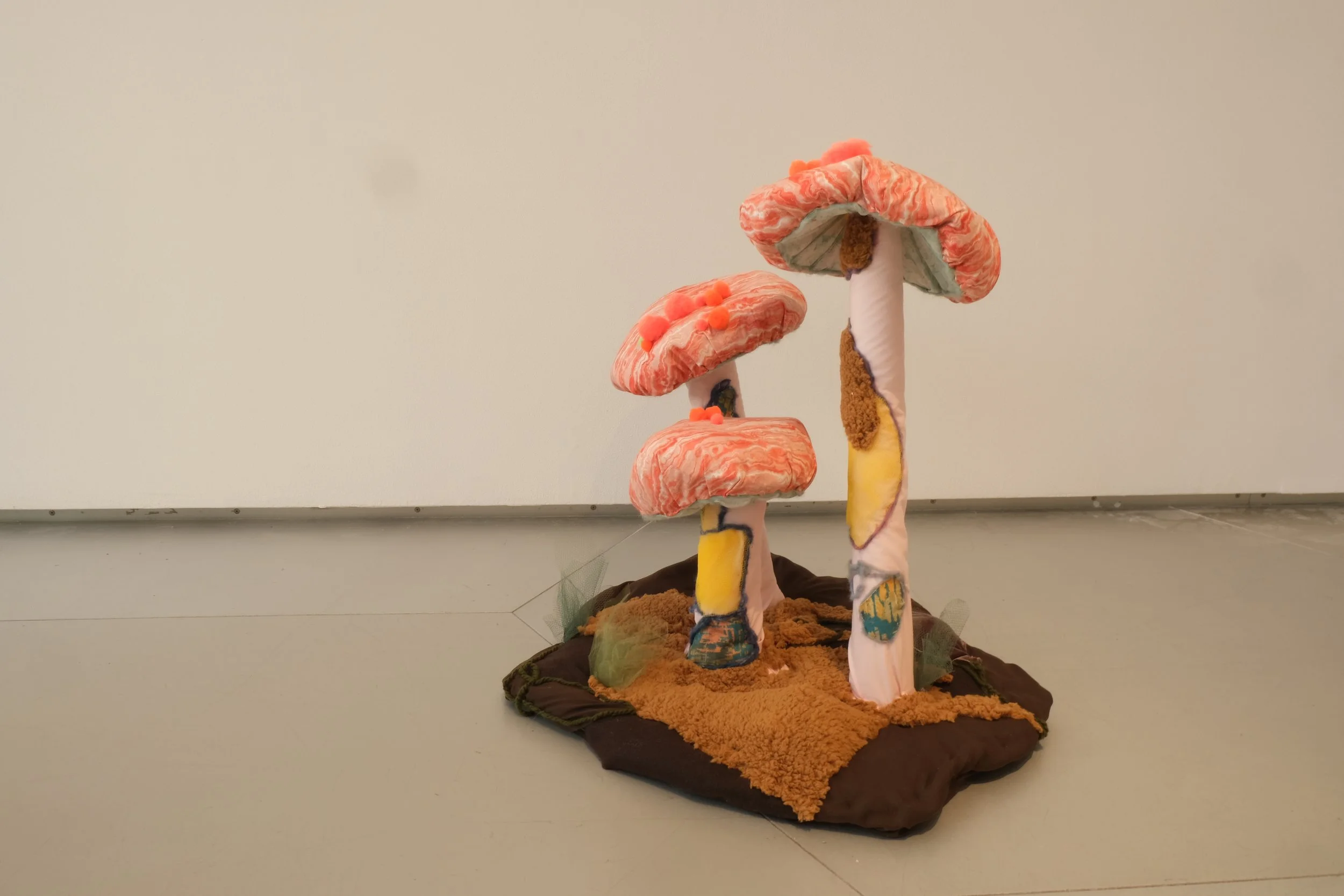 DSCF8504.JPG