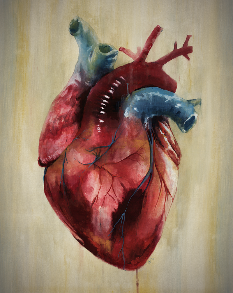 Heart