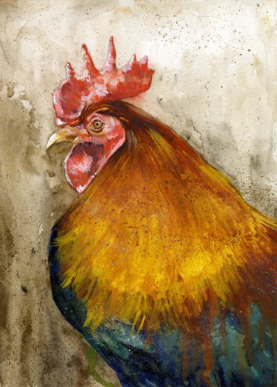 Rooster_by_RobHough.jpg