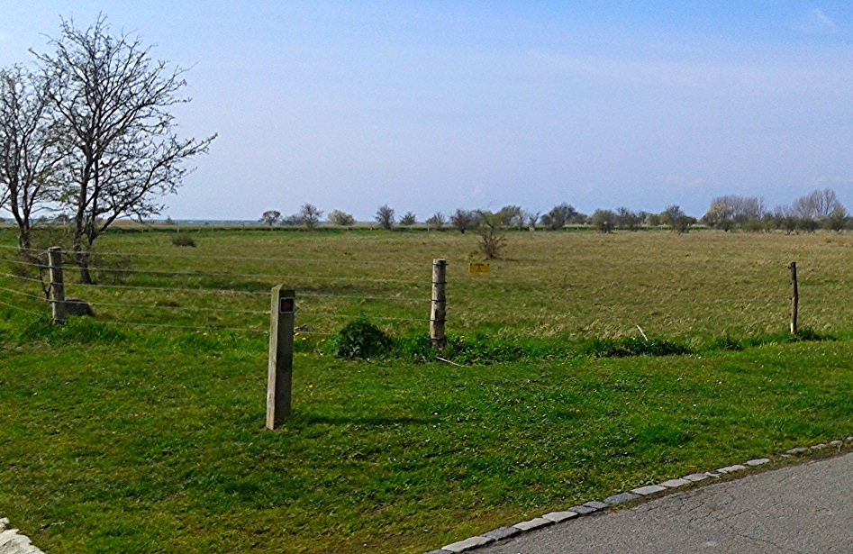 Denmark is a treat; I was needing the grass.