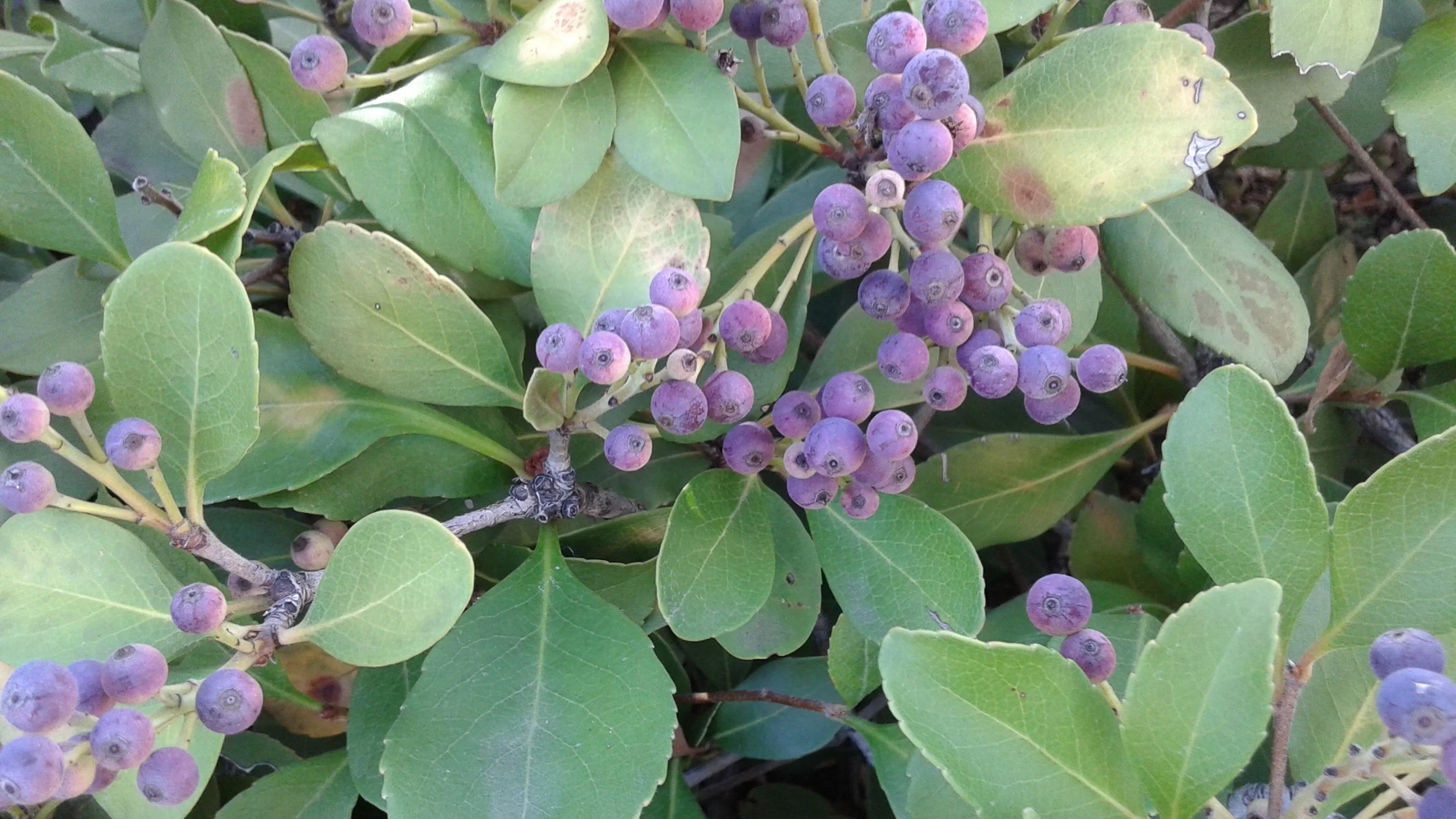 20161025_154310.jpg
