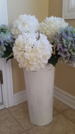 Hydrangeas.jpg